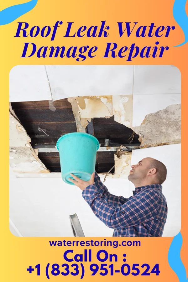 Roof Leak Water Damage Repair in Palm Beach Gardens, FL